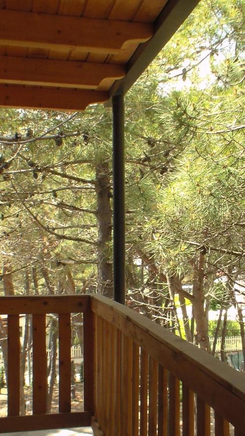 Hotel Temali 2 Velipojë Dış mekan fotoğraf