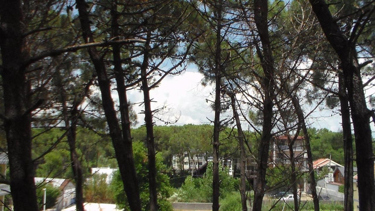 Hotel Temali 2 Velipojë Dış mekan fotoğraf