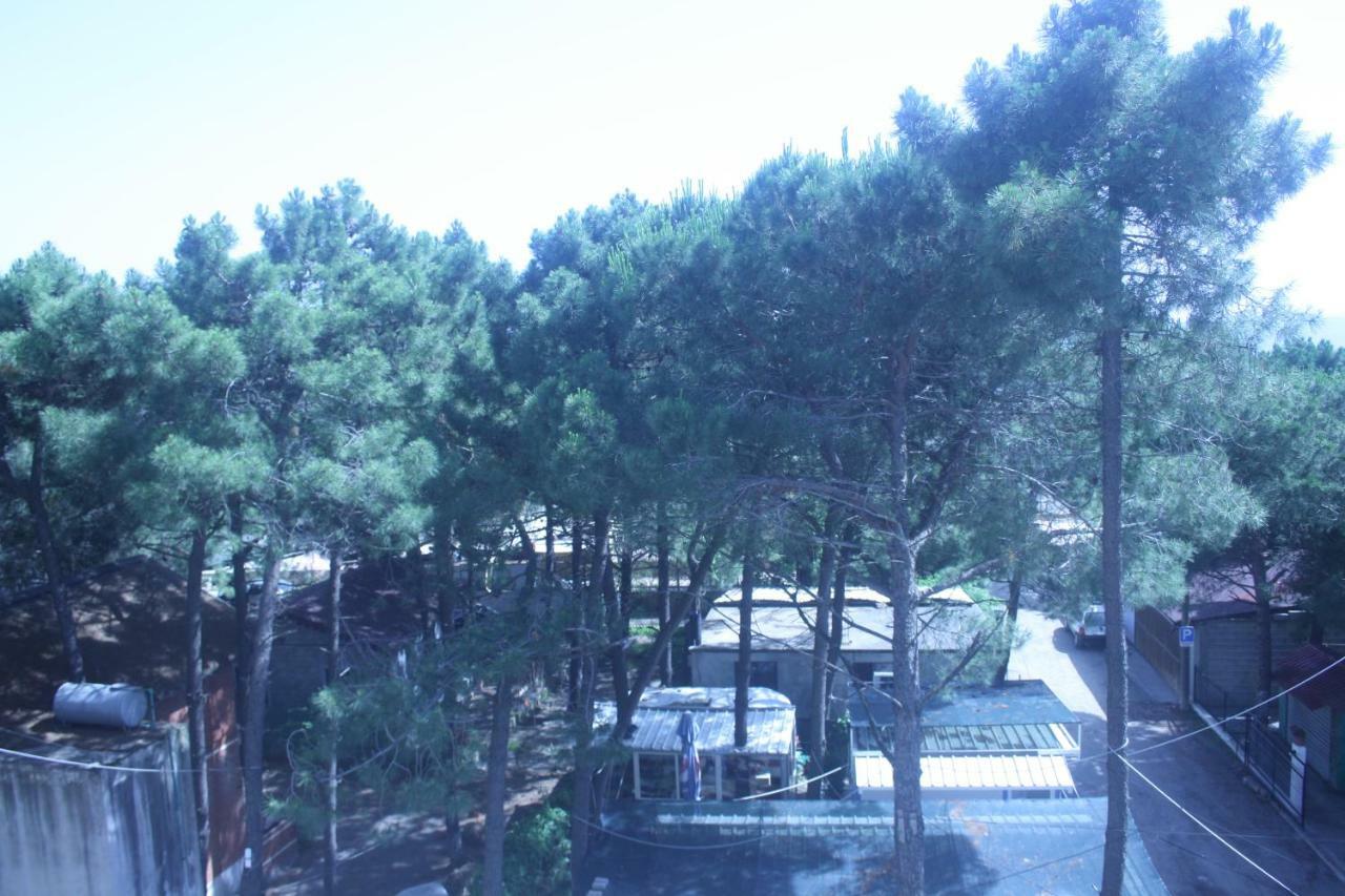 Hotel Temali 2 Velipojë Dış mekan fotoğraf